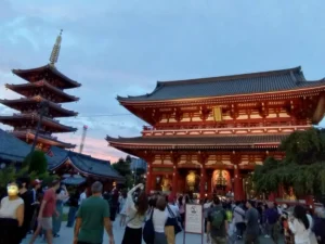 コラム・ブログ画像